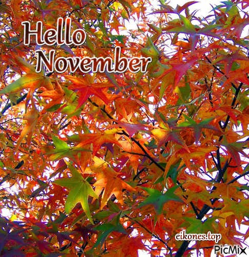 Hello November - 免费PNG