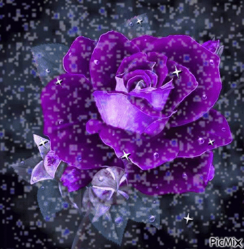 purple - Bezmaksas animēts GIF
