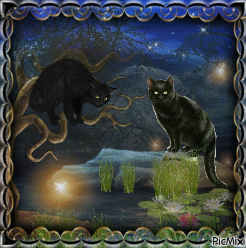 Gato negro... - Ücretsiz animasyonlu GIF
