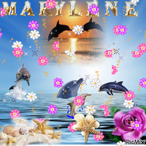 l amour pour les dauphin - Gratis animerad GIF