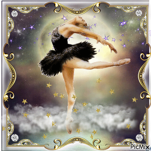 The Black Swan in The Moonlight - Free animated GIF