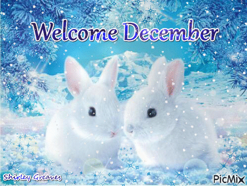 Welcome December - Δωρεάν κινούμενο GIF