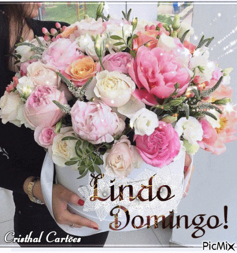 Lindo Domingo! - Zdarma animovaný GIF