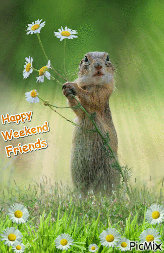 Happy Weekend Friends - Free animated GIF