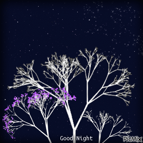 Good Night - GIF animasi gratis