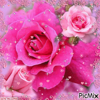 PINK ROSE OF LOVE - Free animated GIF
