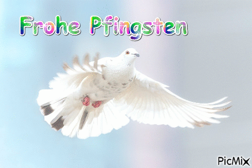 Pfingsten - Gratis animeret GIF