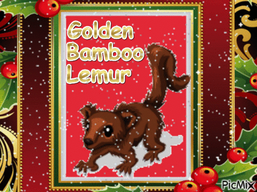 Golden Bamboo Lemur - GIF animé gratuit