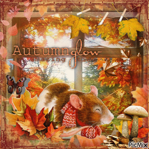 Cozy Autumn - Δωρεάν κινούμενο GIF