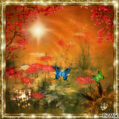 Poppies & Papillon - Darmowy animowany GIF