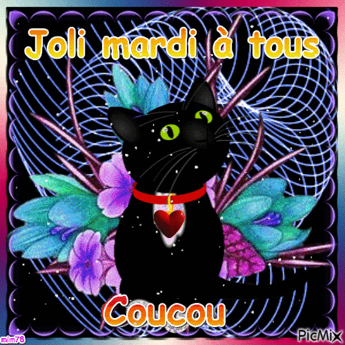 chat coucou - GIF animé gratuit