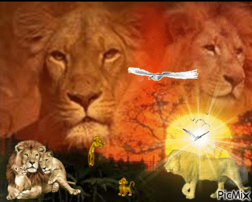 Lions and birds - Free animated GIF