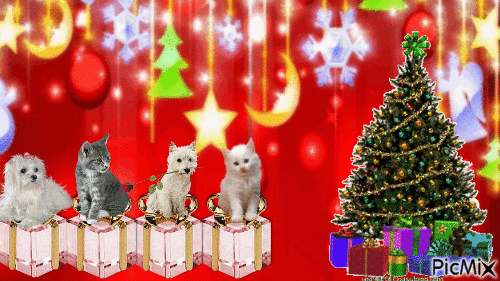 cadeaux - Ingyenes animált GIF