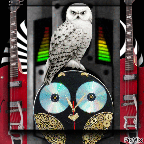Owlcan Tok - Gratis animeret GIF