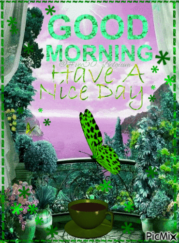 goodmorning   goede morgen - Besplatni animirani GIF