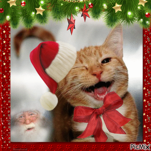 Happy Santa Cat - Бесплатный анимированный гифка