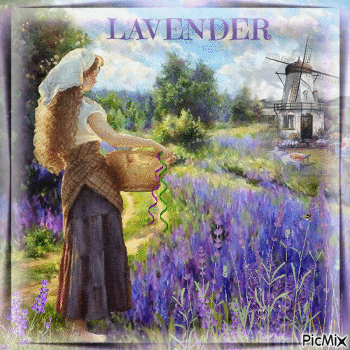 Lavendelernte - Bezmaksas animēts GIF