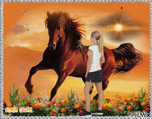 "CHEWAL AU GALOP" Concours - Free animated GIF