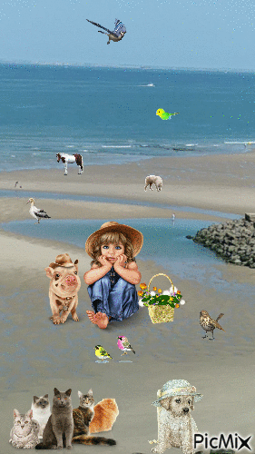 plage détente - Безплатен анимиран GIF