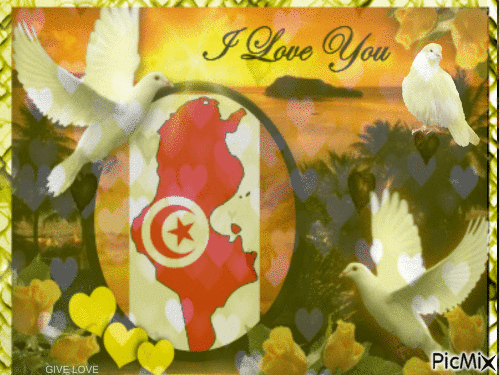 tunisia - Nemokamas animacinis gif