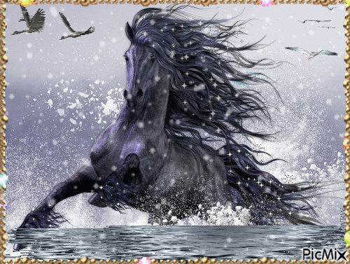 cheval sauvage - GIF animé gratuit