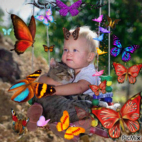butterfy baby - Free animated GIF