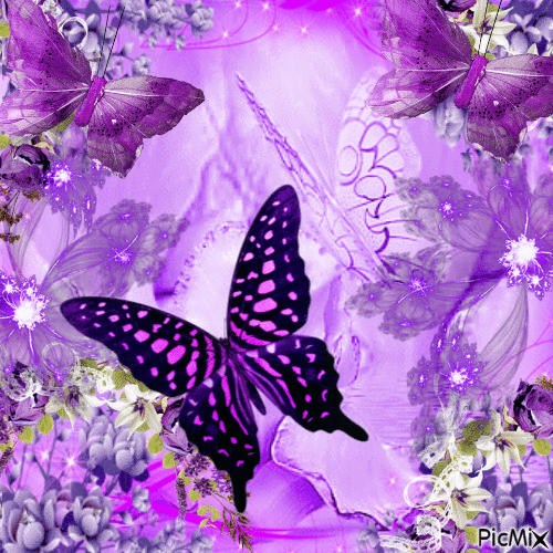 Les papillons violets - Gratis geanimeerde GIF