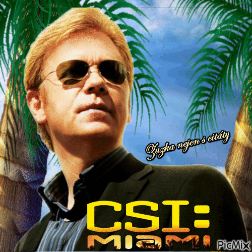 CSI MIAMI - GIF เคลื่อนไหวฟรี