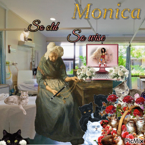monica2 - 無料のアニメーション GIF