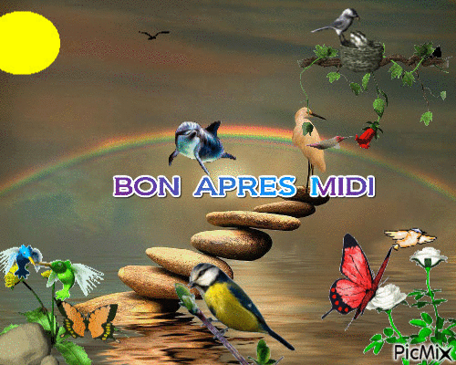 bon apres midi - Zdarma animovaný GIF