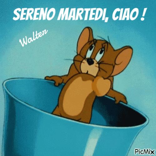 buon martedi - Bezmaksas animēts GIF