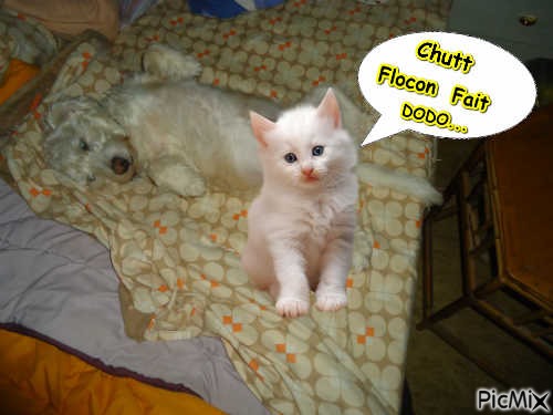 Flocon - nemokama png