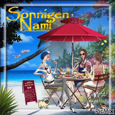 Sonnigen Nami - 免费动画 GIF