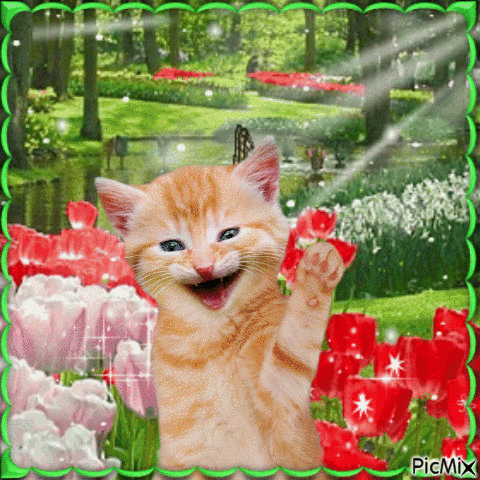 Chat heureux dans les fleurs - Gratis geanimeerde GIF