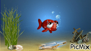 lonely fish - Gratis animerad GIF