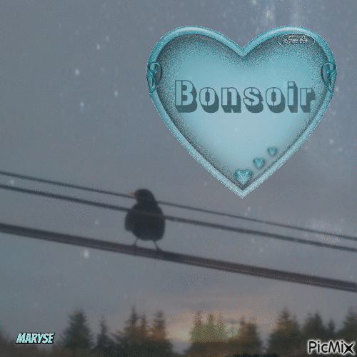 bonsoir - Δωρεάν κινούμενο GIF