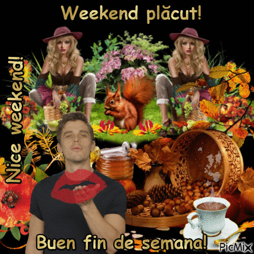 Weekend plăcut!r1 - Free animated GIF