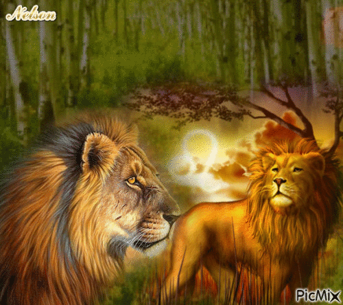 lion - GIF animado grátis