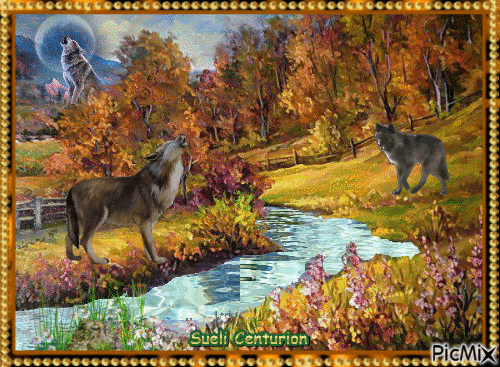 Lobo na Floresta - Ingyenes animált GIF