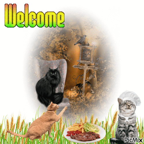 Welcome Kitty Dinner Party - Ilmainen animoitu GIF