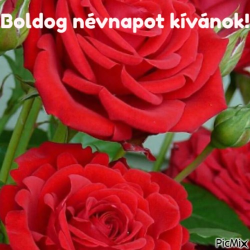 Boldog Névnapot - δωρεάν png