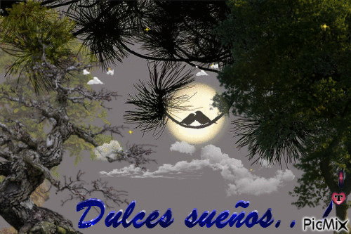 Buenas Noches - Zdarma animovaný GIF
