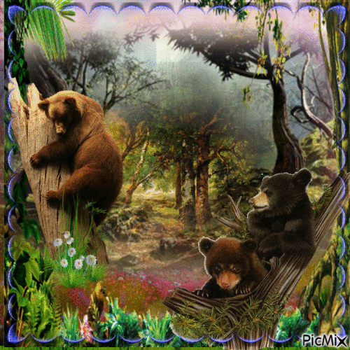 l'ours et ses petits - GIF animé gratuit