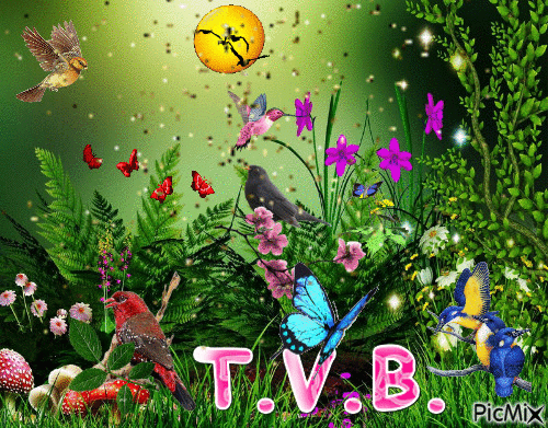 TVB - 免费动画 GIF