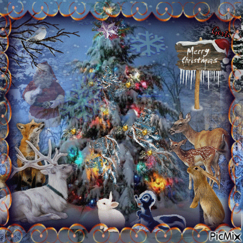 Christmas tree for animals - Gratis animerad GIF