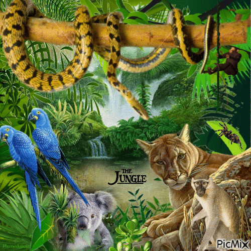 La jungle. - Free animated GIF