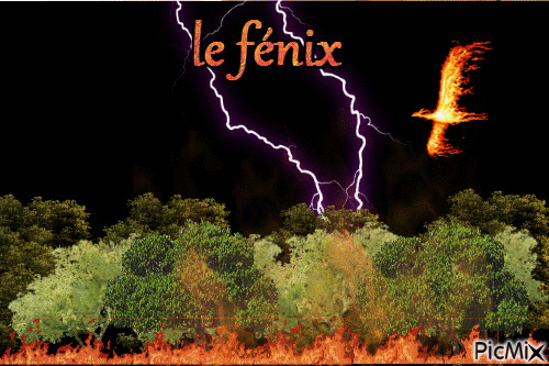 le Fénix - Бесплатный анимированный гифка