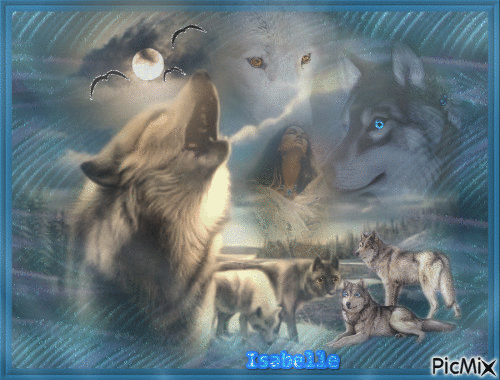 le chant des loups - Zdarma animovaný GIF
