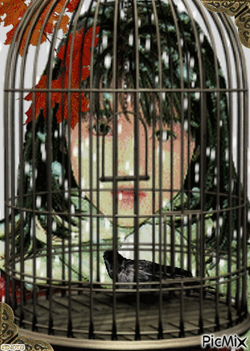 PRISION - Free animated GIF