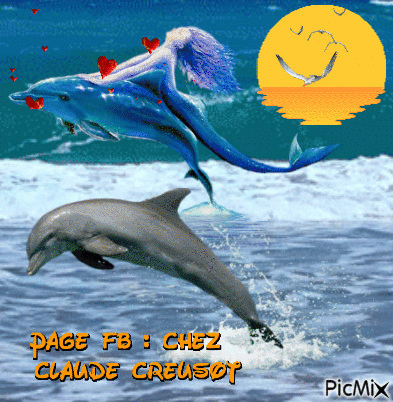 nage avec les dauphins - GIF animé gratuit
